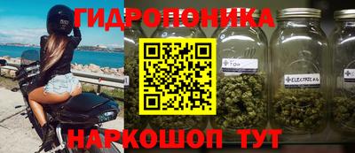 стаф Бузулук