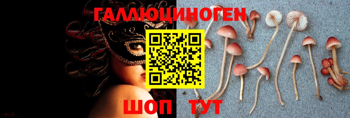 Псилоцибиновые грибы ЛСД  цена наркотик  Ревда  Вход с VPN 